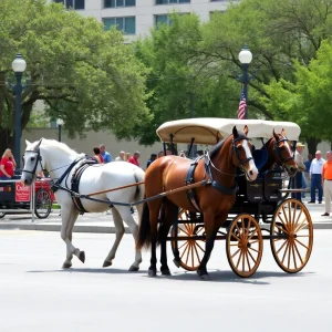 Changes to San Antonio's Iconic Horse-Drawn Carriages Proposed at City Council Meeting