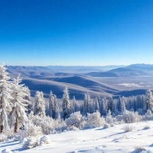 Winter scene in the Pikes Peak region with snow-covered trees.