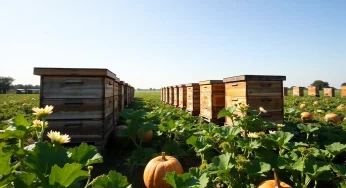 San Antonio’s Beekeeping Community Faces Serious Challenges