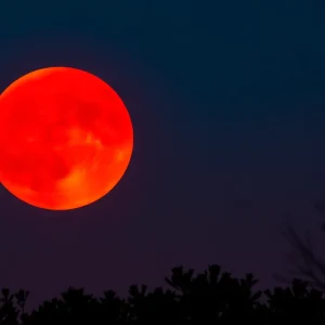 Total lunar eclipse displaying a red moon in the night sky