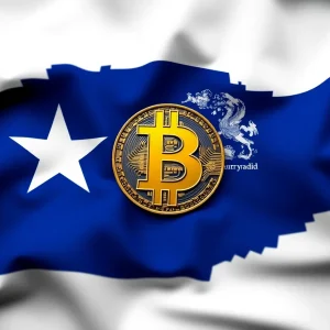 Texas Bitcoin Reserve Initiative