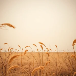 Dry landscape with high winds representing wildfire danger in Texas